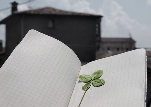 Four-leaf clover a talisman for good luck