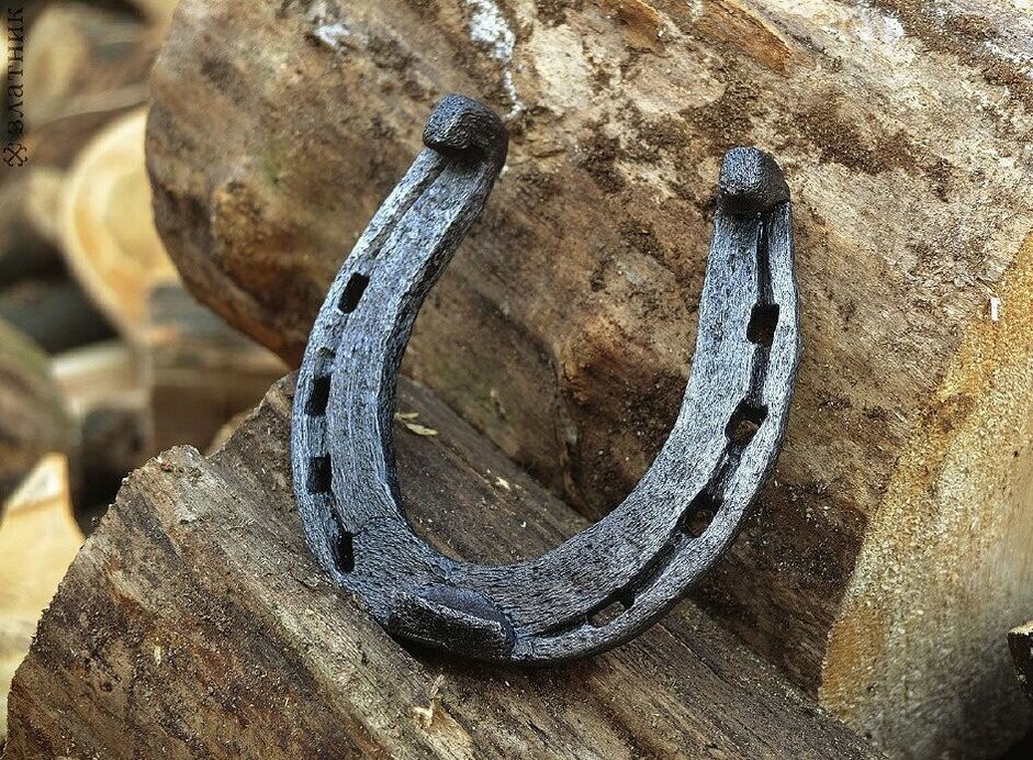 good luck charm - horseshoe