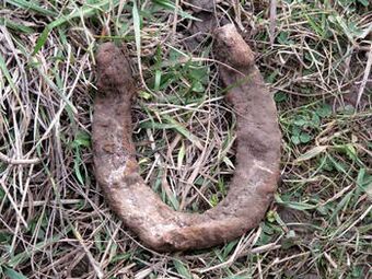 found horseshoe will make a talisman