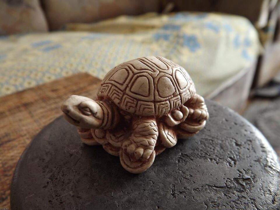 turtle figure as a good luck charm